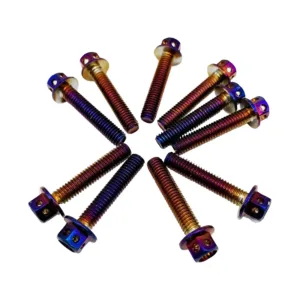 Flanschschrauben - M6 x 30 - Kurbelgehäuseabdeckung - Sprint / Primavera / Zip - Öl / Blau - pro 10 Stück