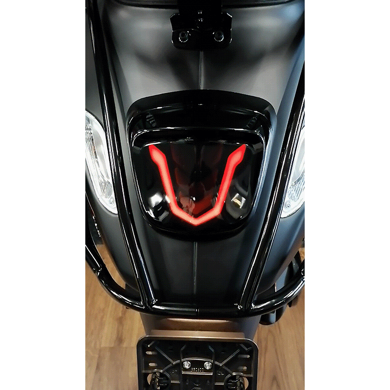 EVO-1 - LED Tube Achterlicht - Smoke Glas - Sprint / Primavera - Euro4 / Euro5 modellen - Afbeelding 2