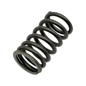 Vespa Valve Spring - 50cc - Sprint / Primavera / Zip - Euro4 and Euro5 - 845951